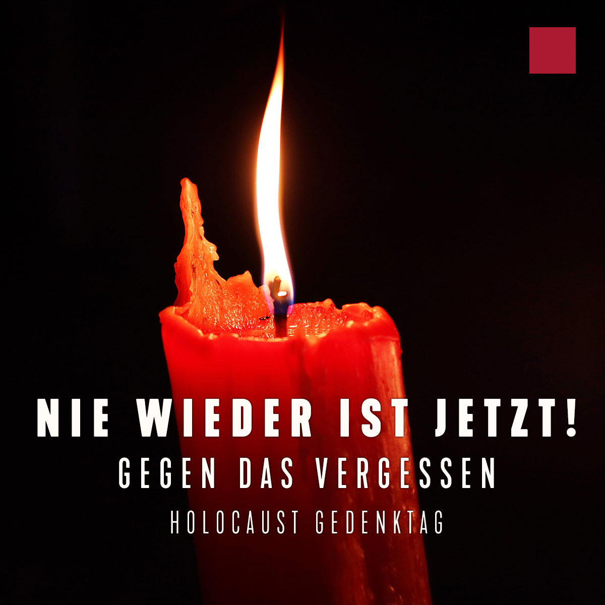 Featured image for “Holocaust Gedenktag | Gedenken an Opfer des Nationalsozialismus”